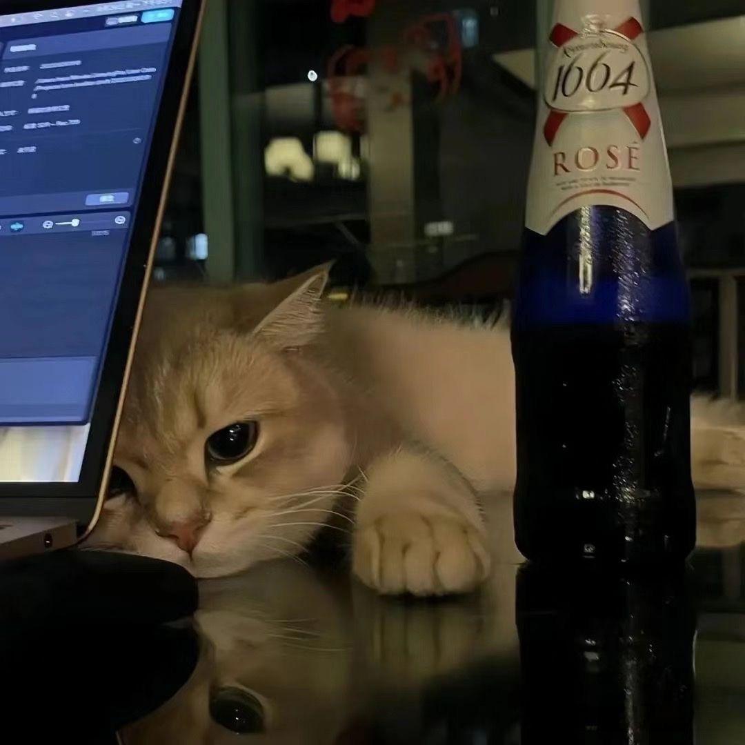 🌈养一只喵星人🐱