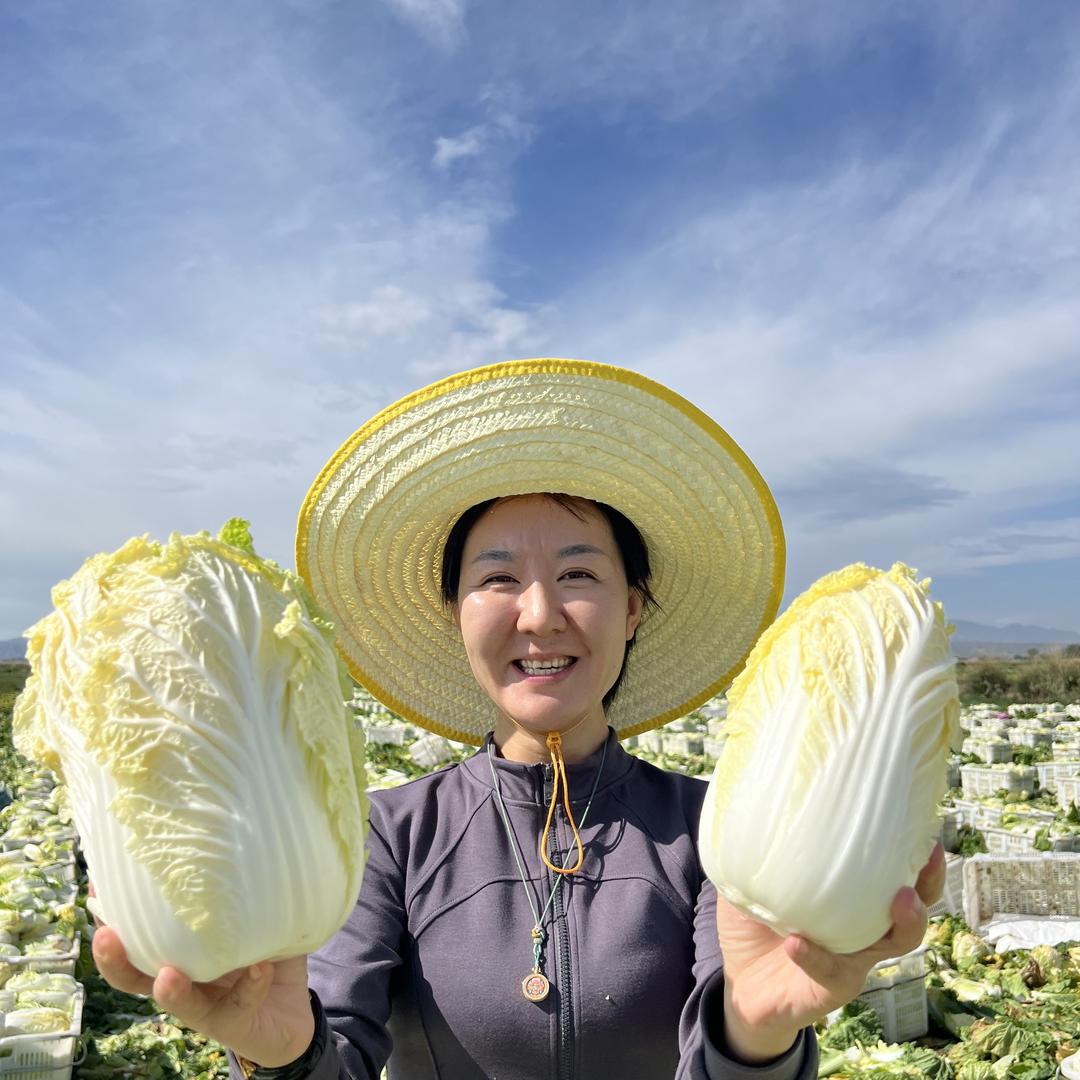 高原领鲜企业店