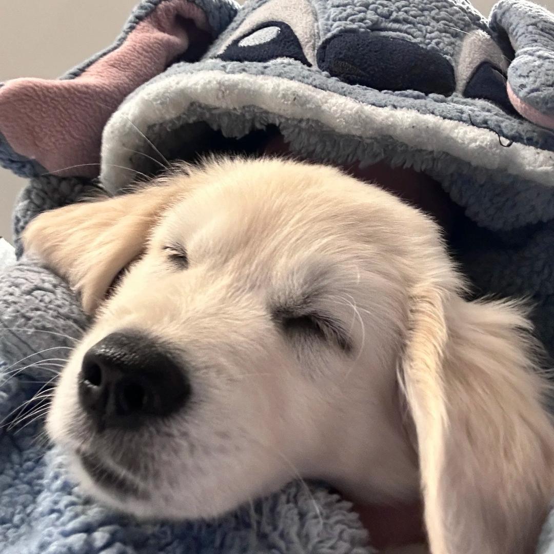 Wy.