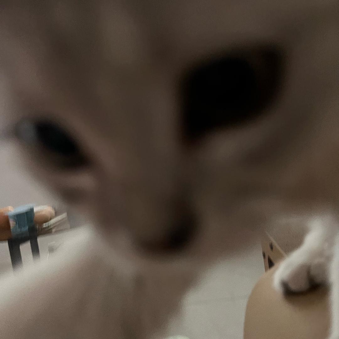 然然然