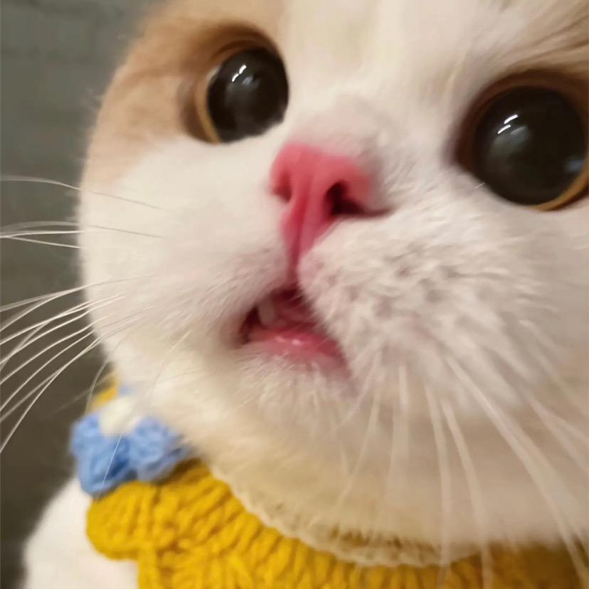 小允