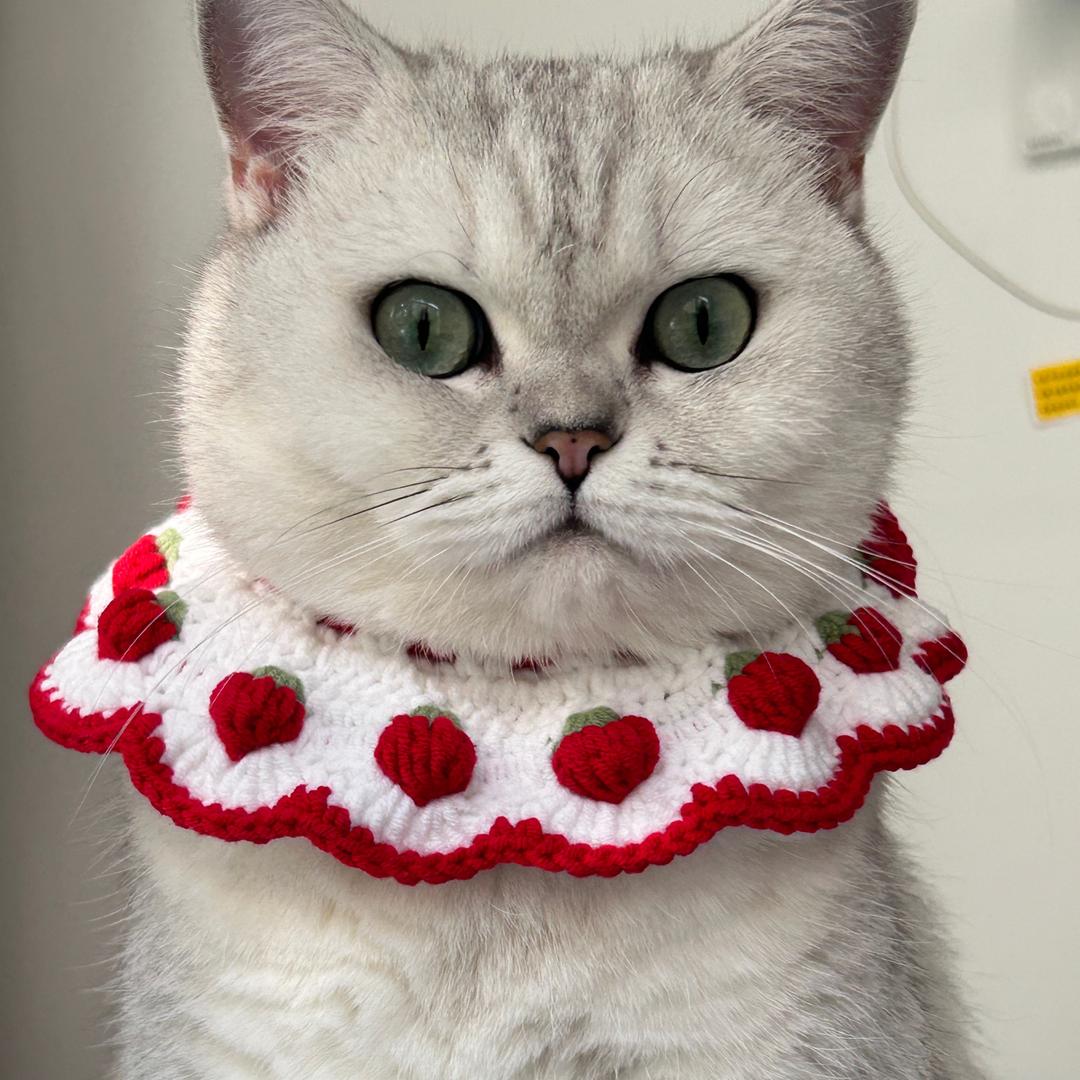 今天也要开孙💅