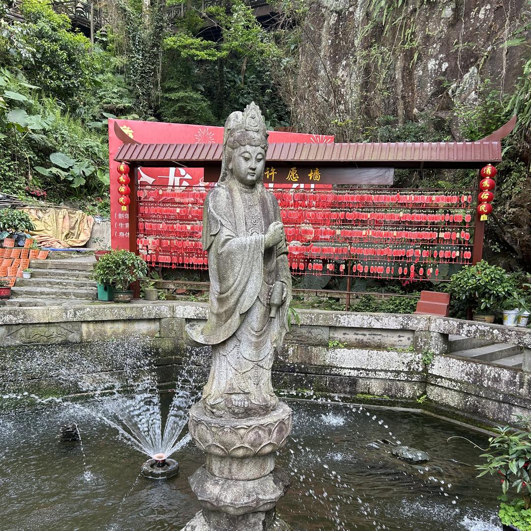 阳光好物分享