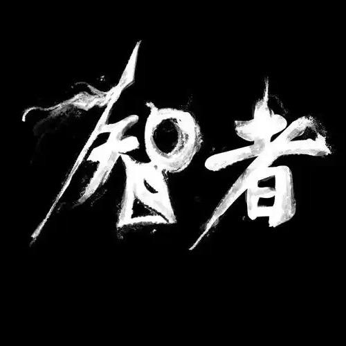 智者见智