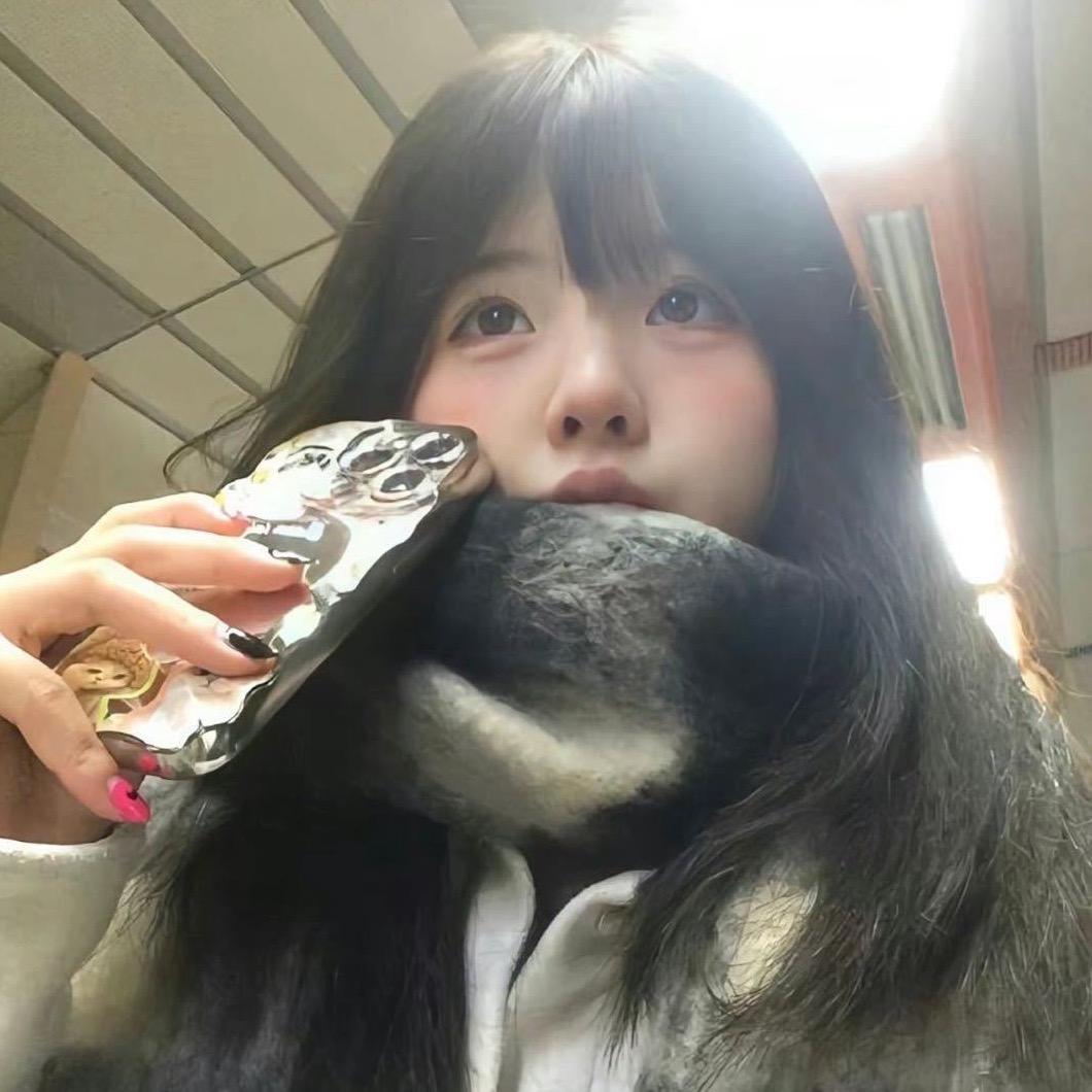 性感母蟑螂