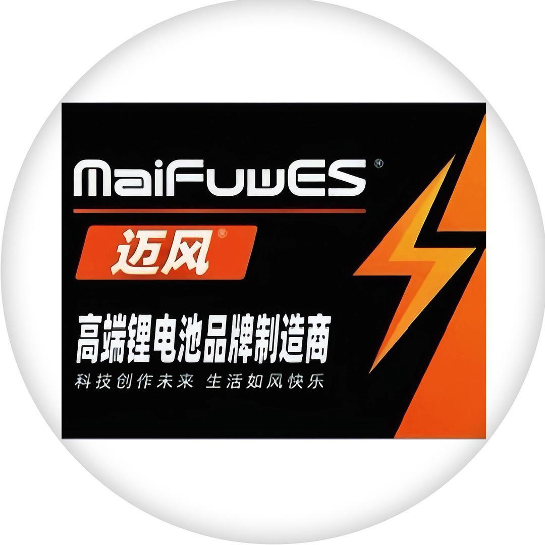 迈风新能源