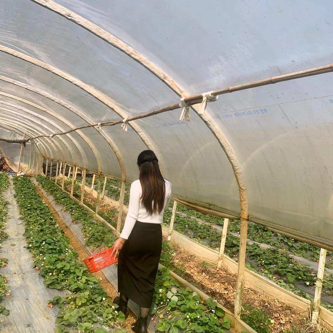 不攀不比做自己