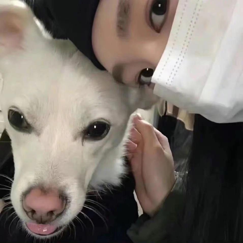 爱吃火锅的霍大侠