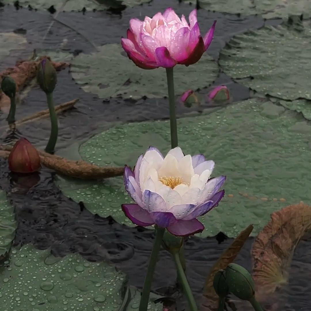 小王老师🧑‍🏫