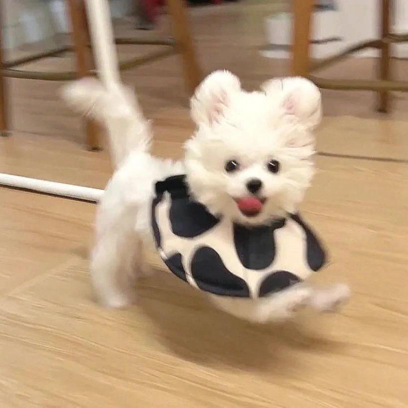 记得两笼叉烧包