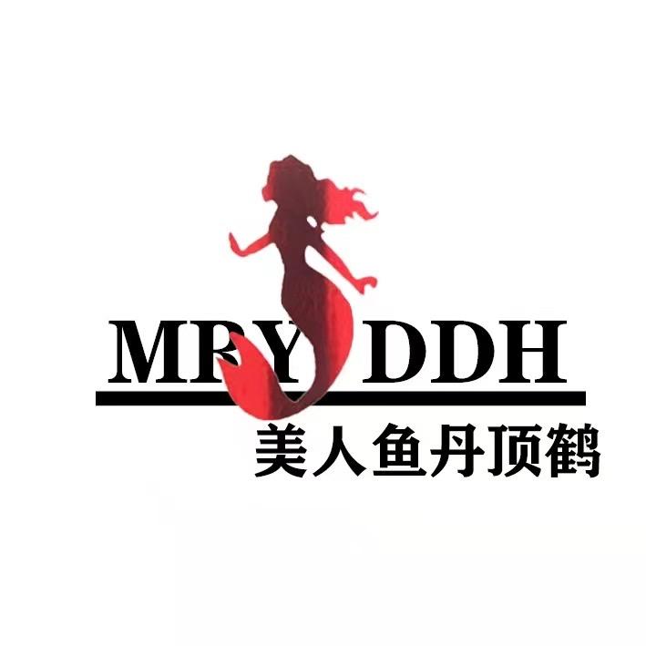 美人鱼丹顶鹤Meirenyyddhqjd