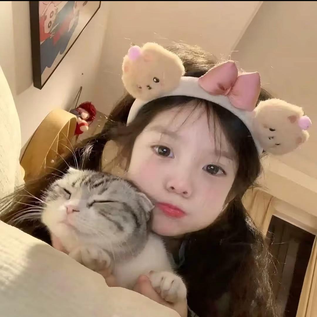懒🐑🐑