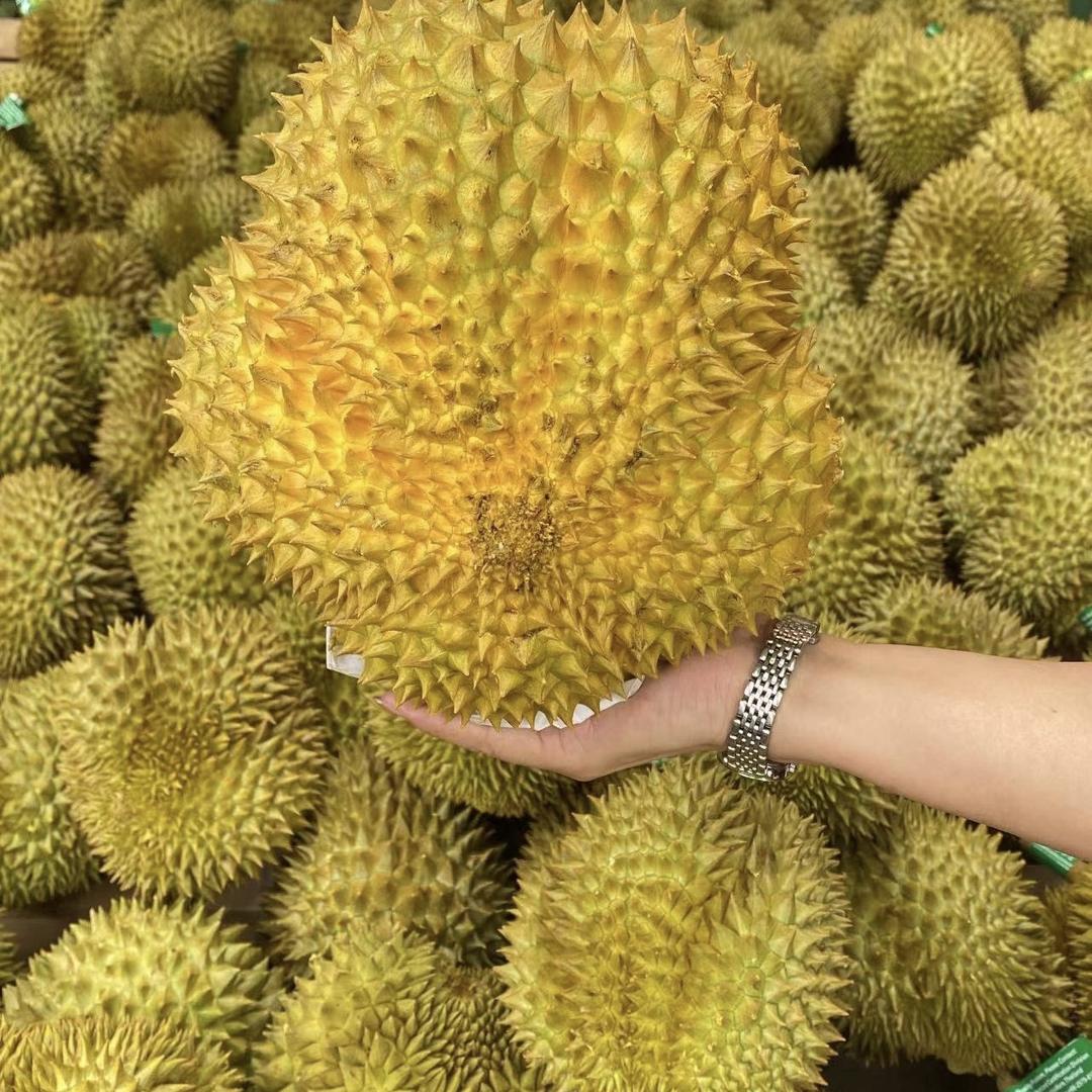 柏宝鲜果园