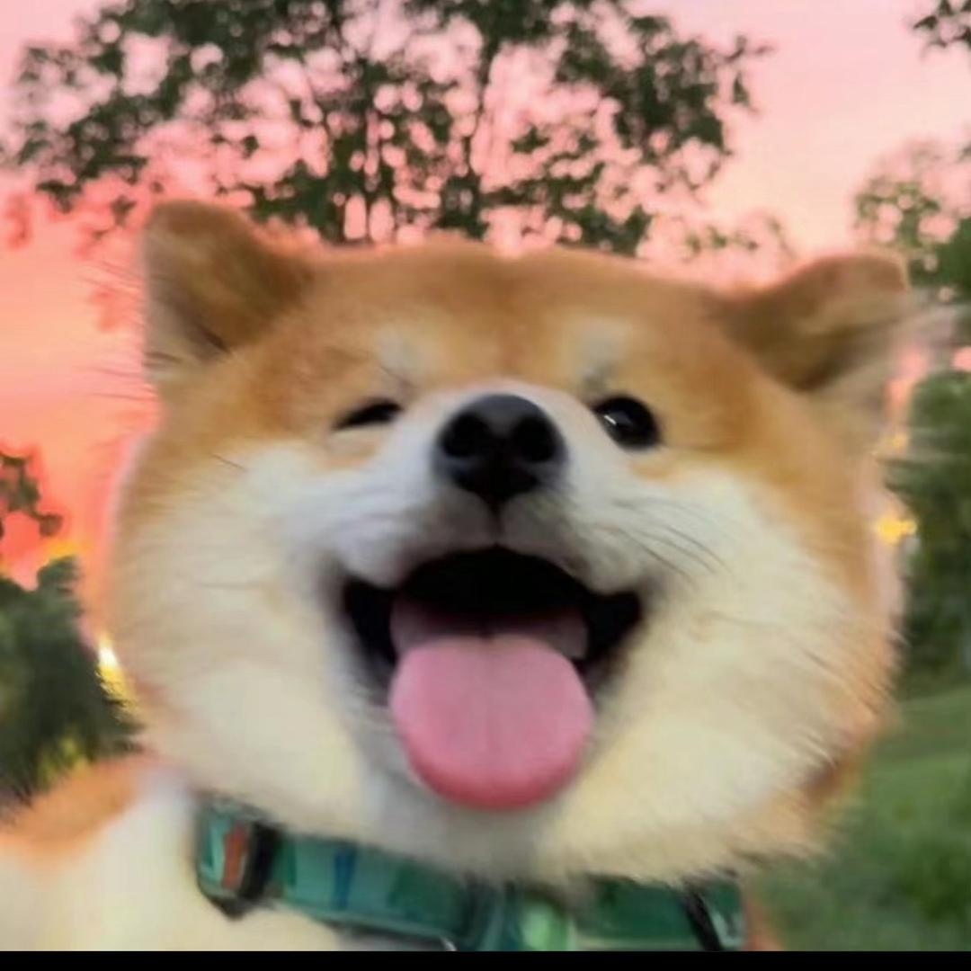 不吃蛋挞是小狗🐶