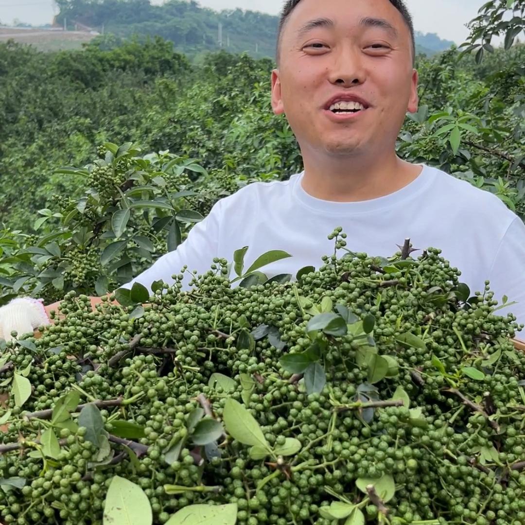 意烨桃