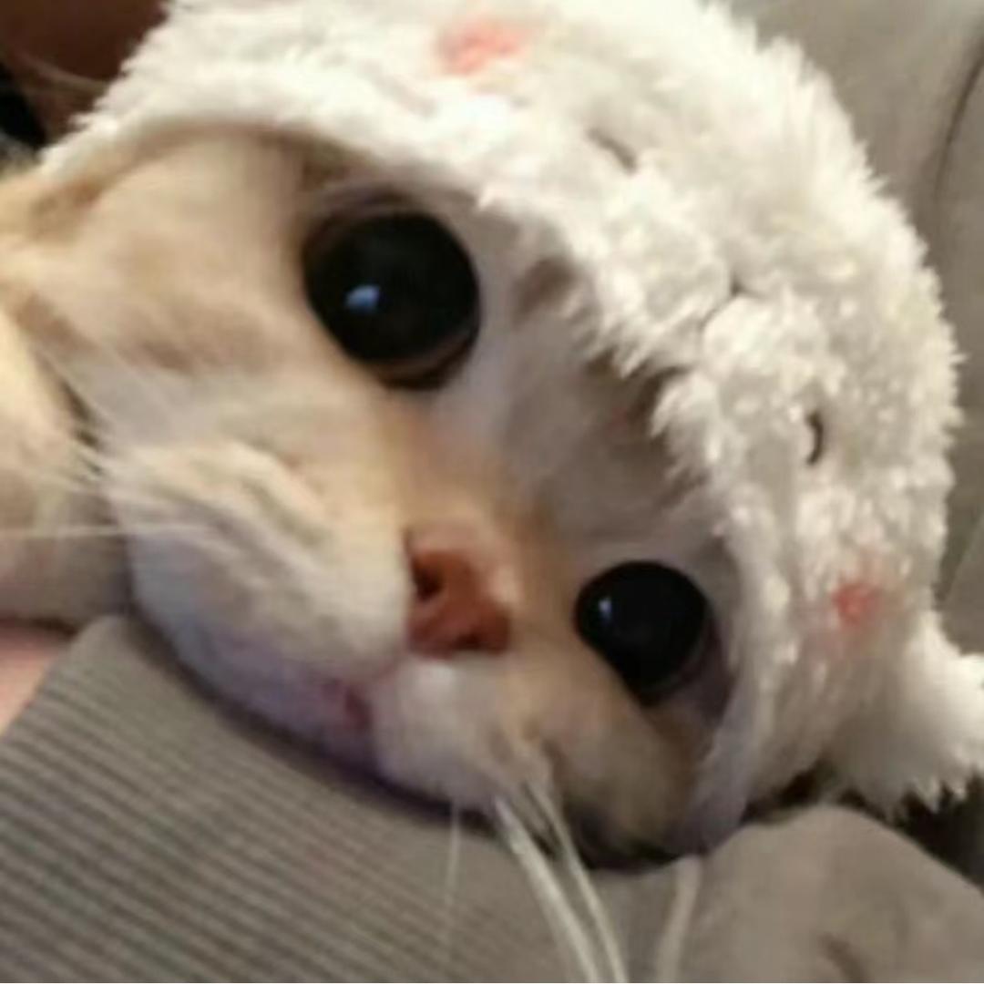汤小圆