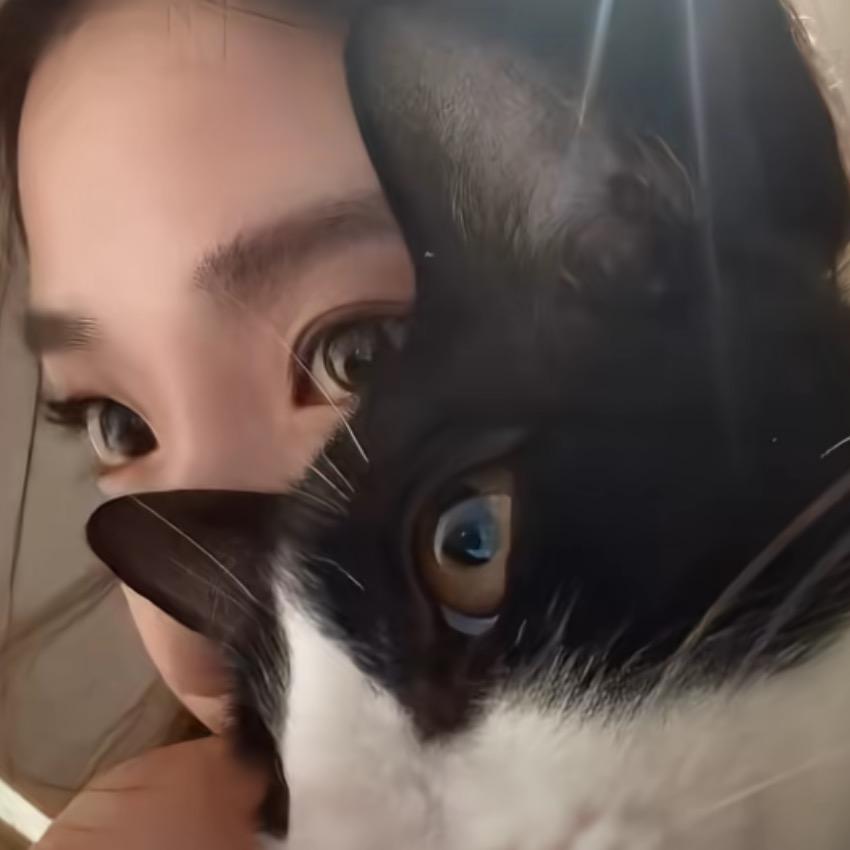 晚风会飞