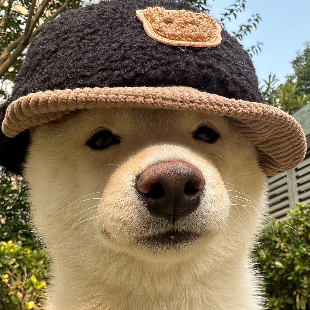 请世界善待我