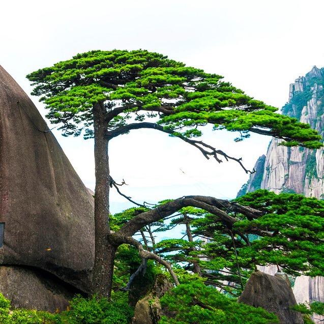 ℳঞ局中人才了解࿐ᩚ