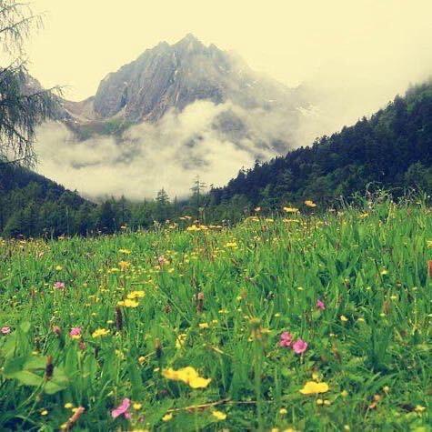 随遇而安🌱