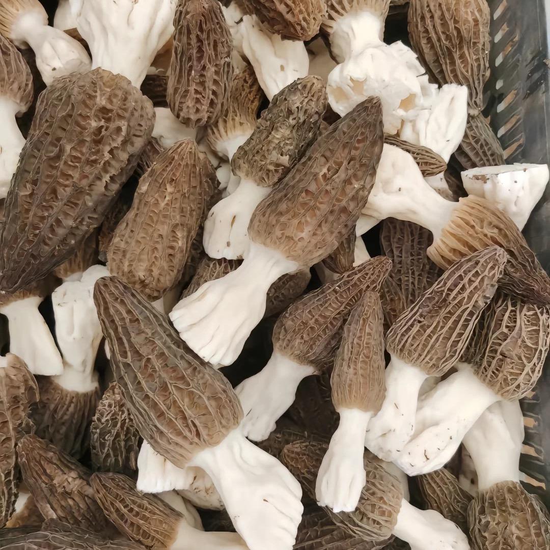 这里可以说是真的