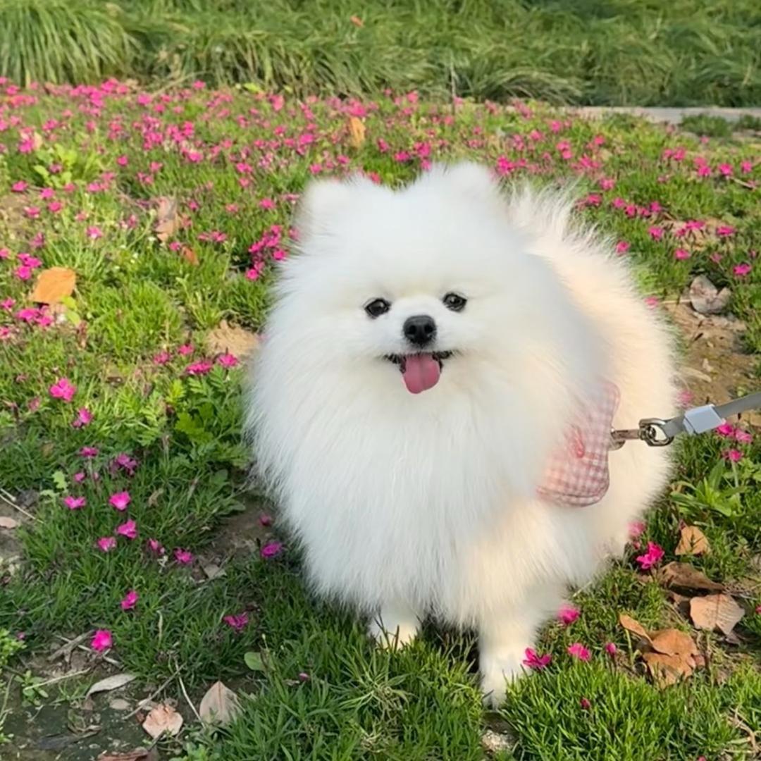 比美萌宠乐园☀️