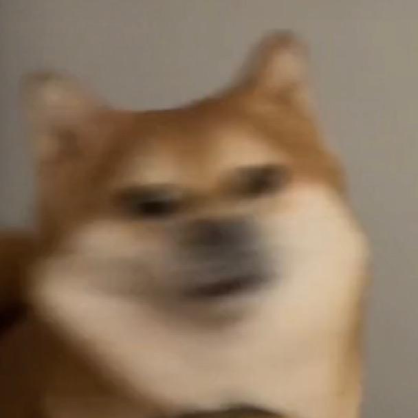 🐑🐮🐎的陪读日记