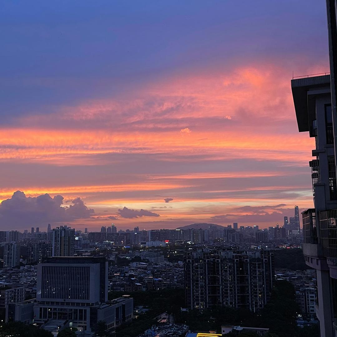 叙清瑞小强