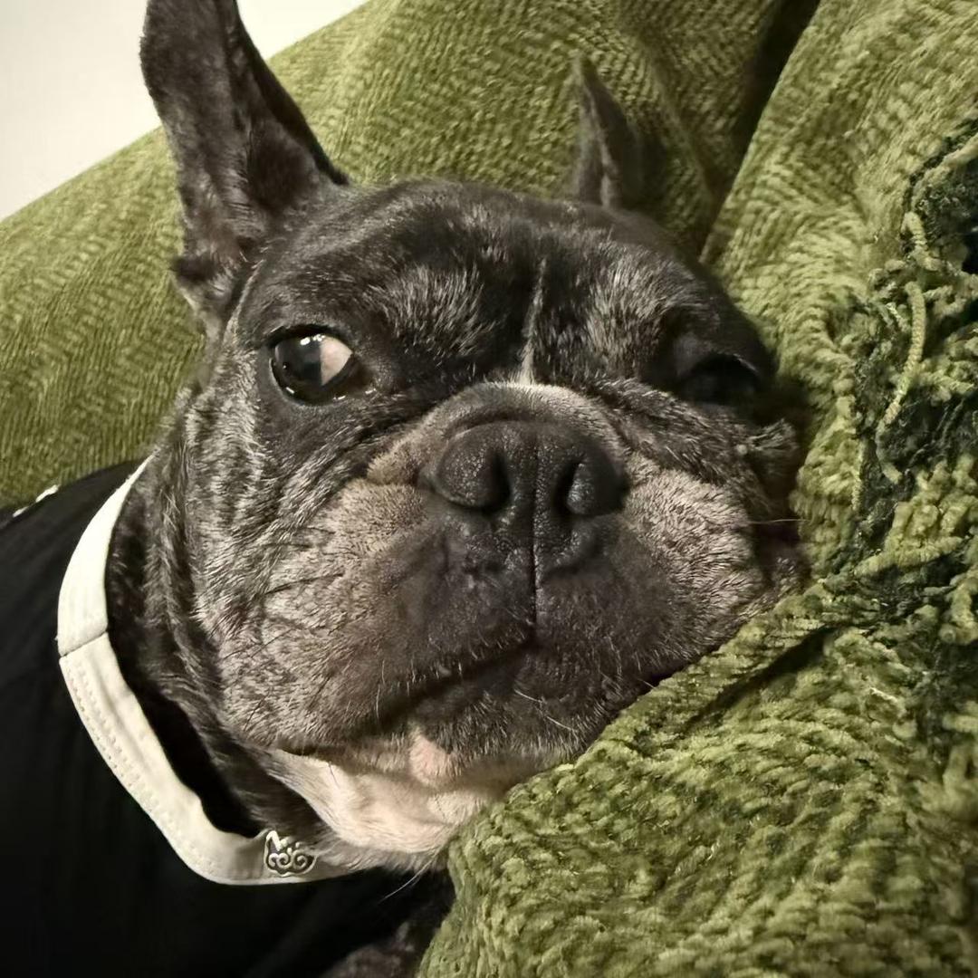 五一是“支柱”