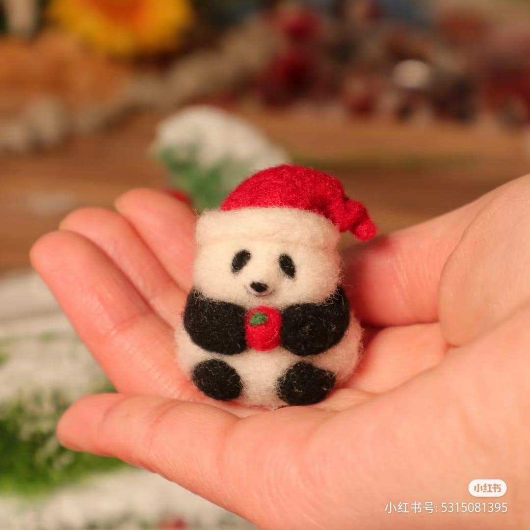 兔兔獅子王🐰🦁️