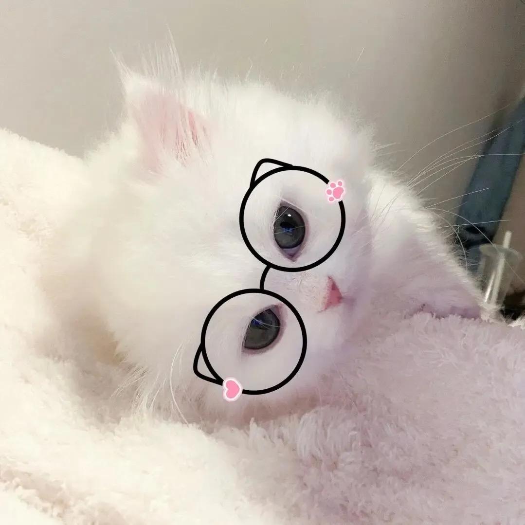 曼崽小宝💕