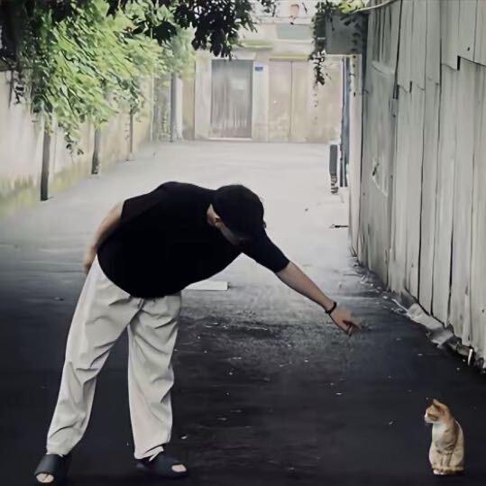 茄儿丝