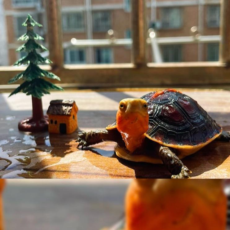 龟屿（七秒钟的记忆）