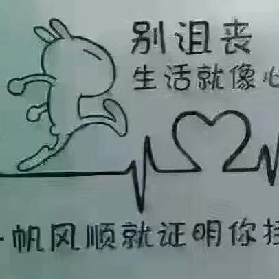 🐬🐟💥鱼来💥🐟🦈