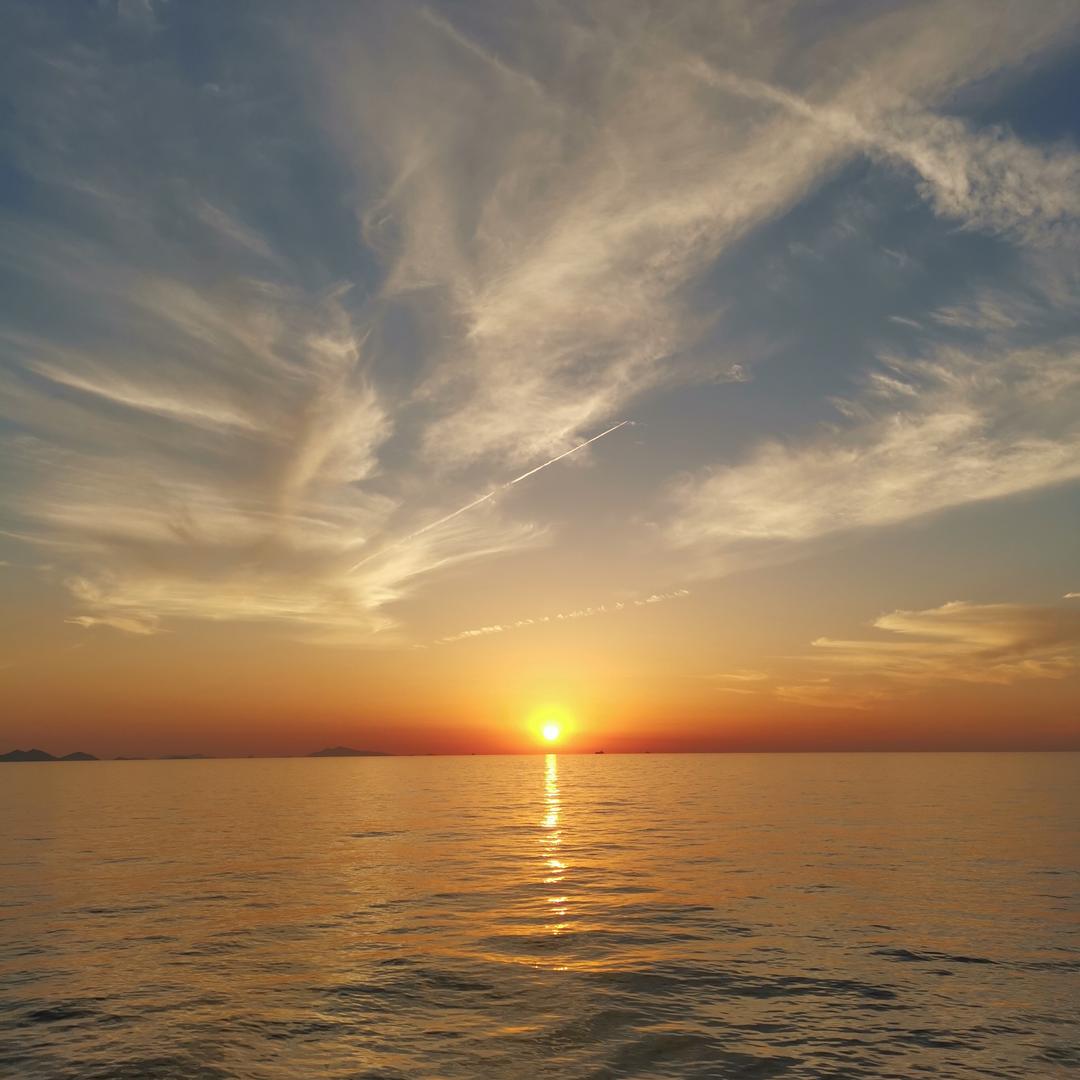 ✨知秋🧚🏻‍♂️