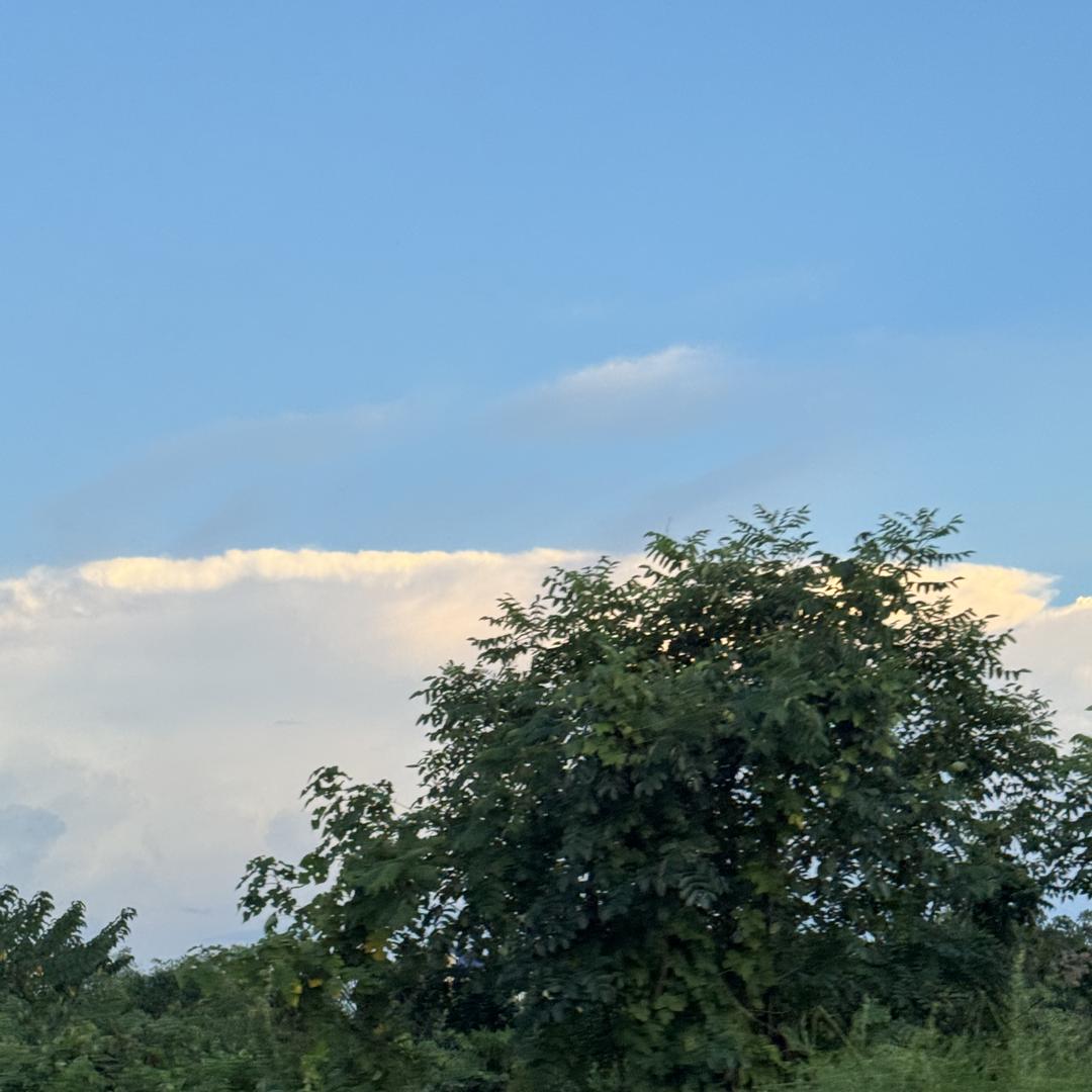 咕嘟嘟好物分享