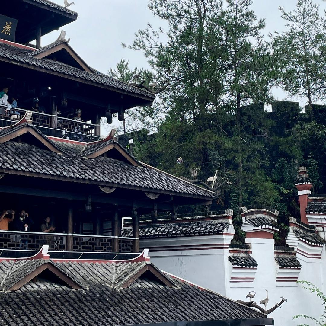 风吹麦浪🌾