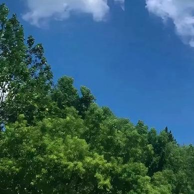 学习规划师
