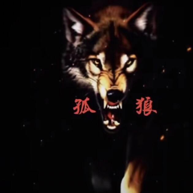 ♥孤狼♥
