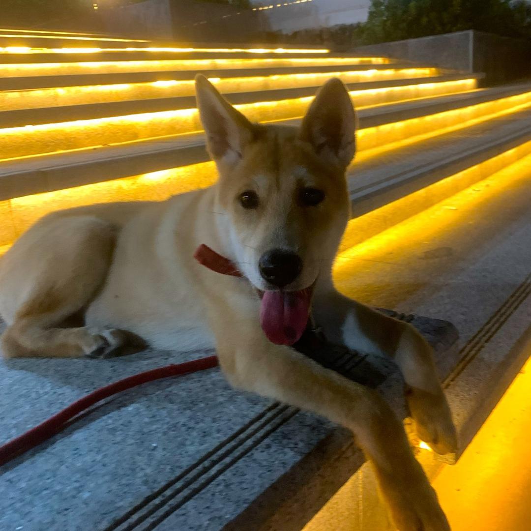 一条被圈养的鱼