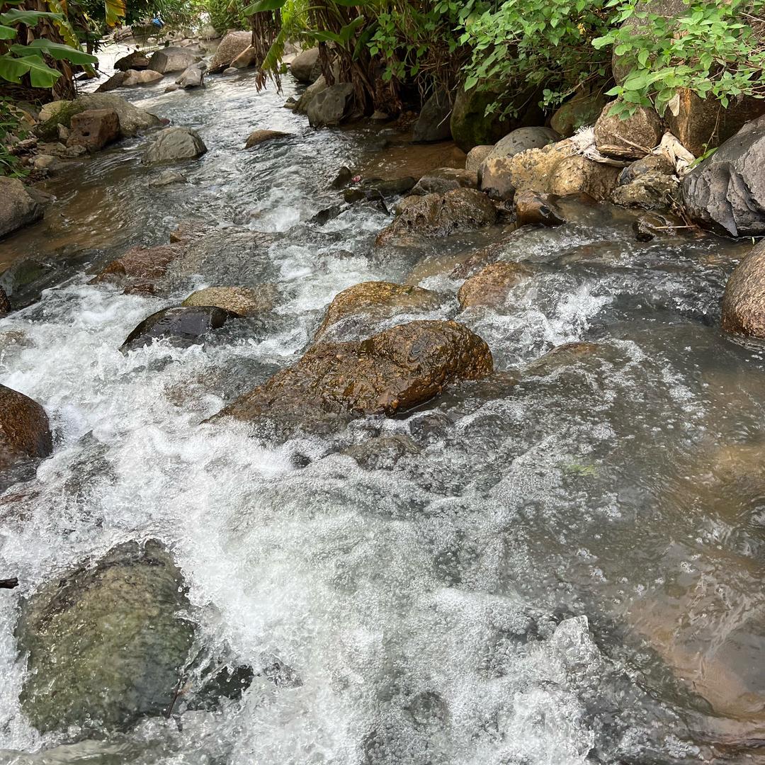 可可꒲⌯ ूʕ꒰✪ૢꇵ✪ૢ꒱ෆ⃛ෆ⃛ೄ