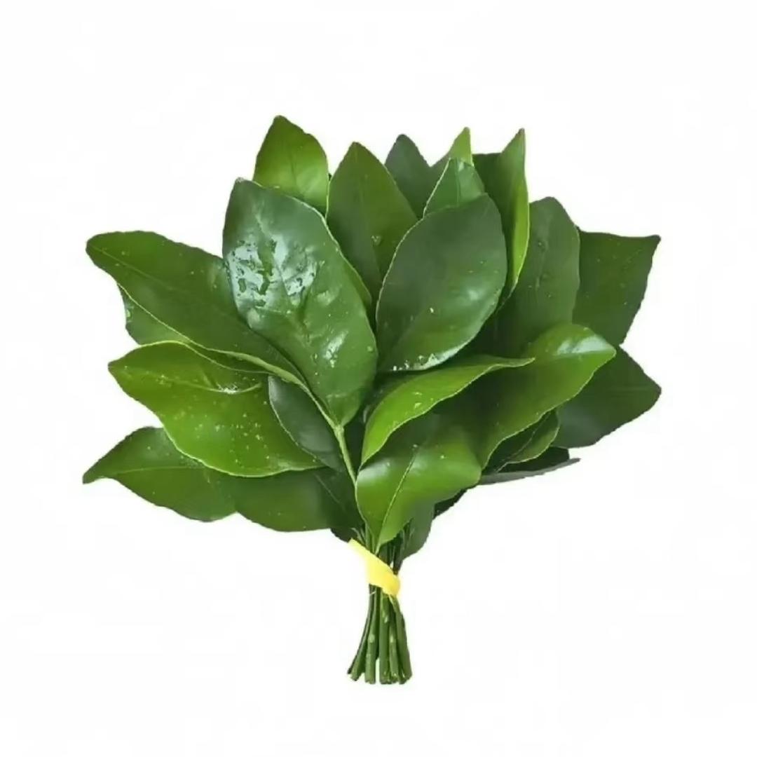 煎饼狗子..