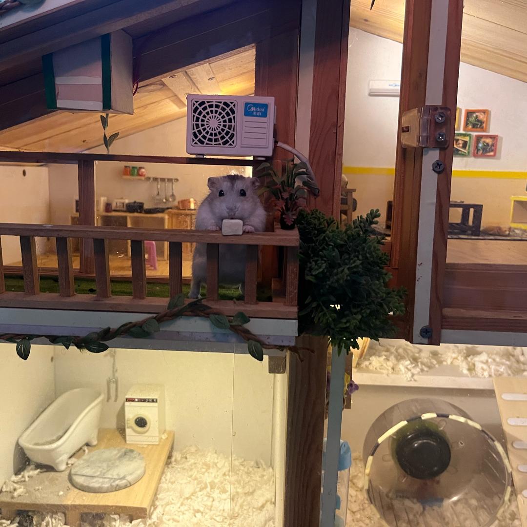 伟记日常🏕️🎣🐹🚴🏻‍♂️