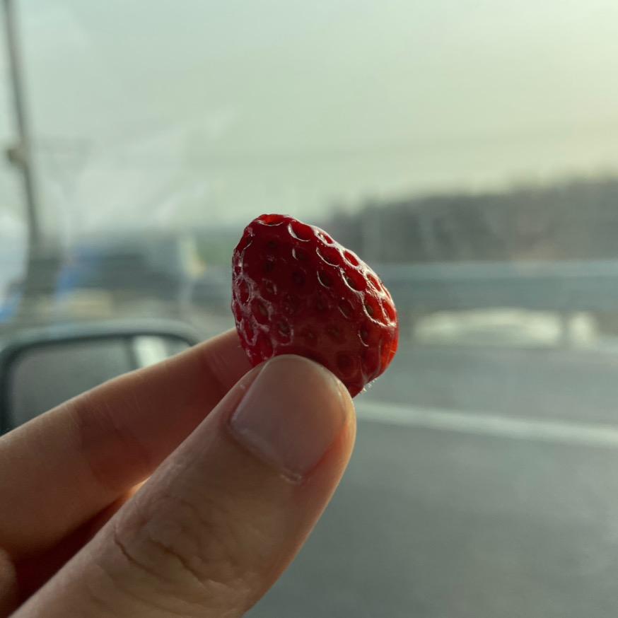 嘟姐青海酿皮