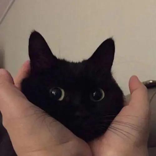 8838