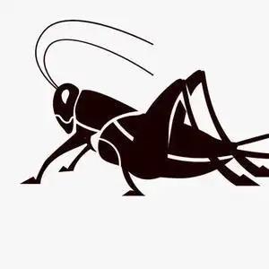 辛蓝蟋蟀-小涛（蟋蟀养殖）