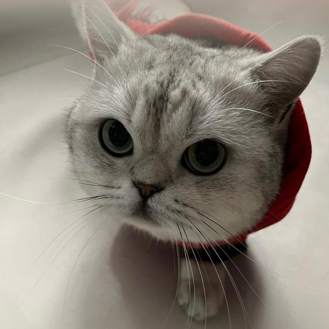 袁帅帅-山东宇捷空调设备工厂