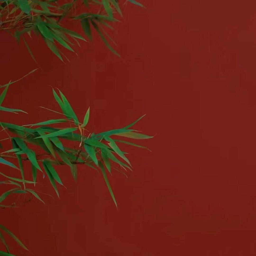 小豆℘