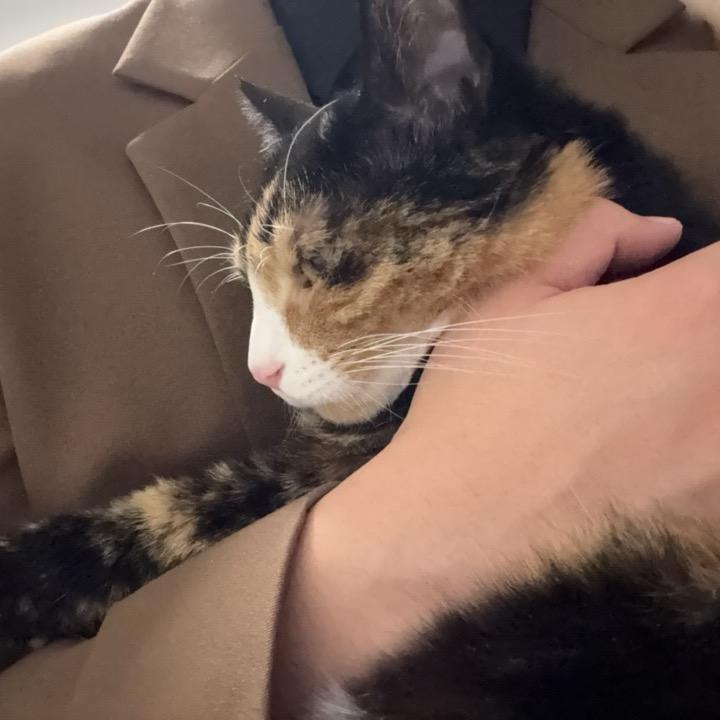 我只会玩劫