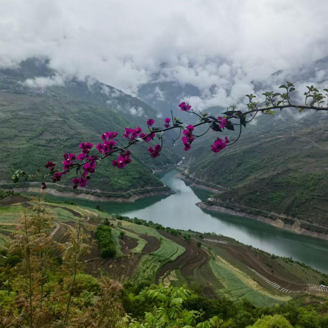 阿雅的大山生活.加油